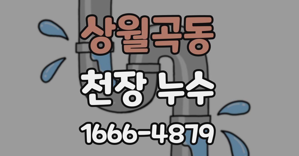 상월곡동 천장 누수