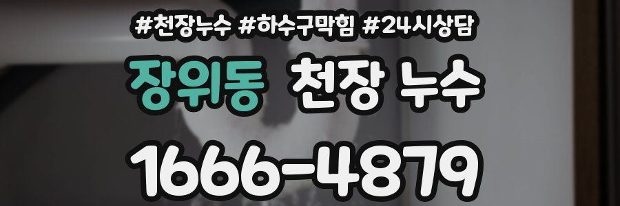 장위동 천장 누수