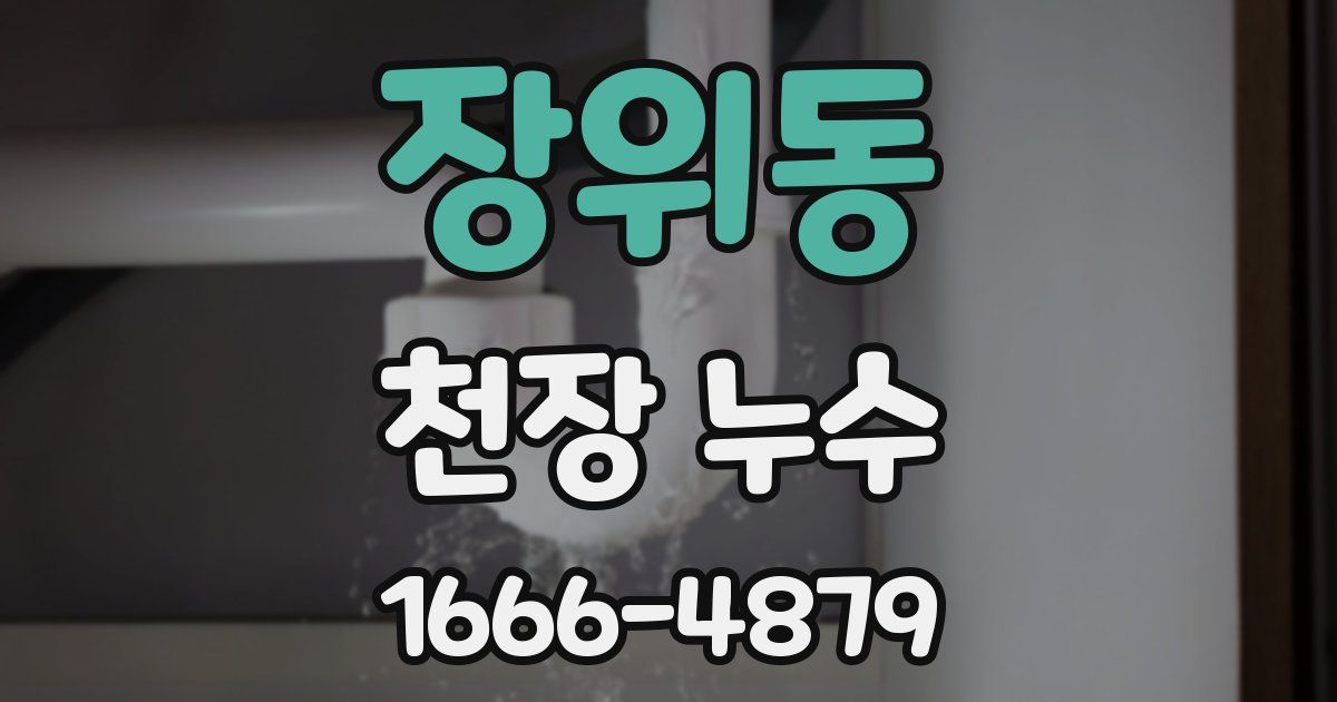 장위동 천장 누수