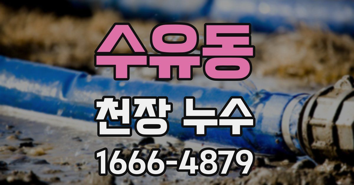 수유동 천장 누수