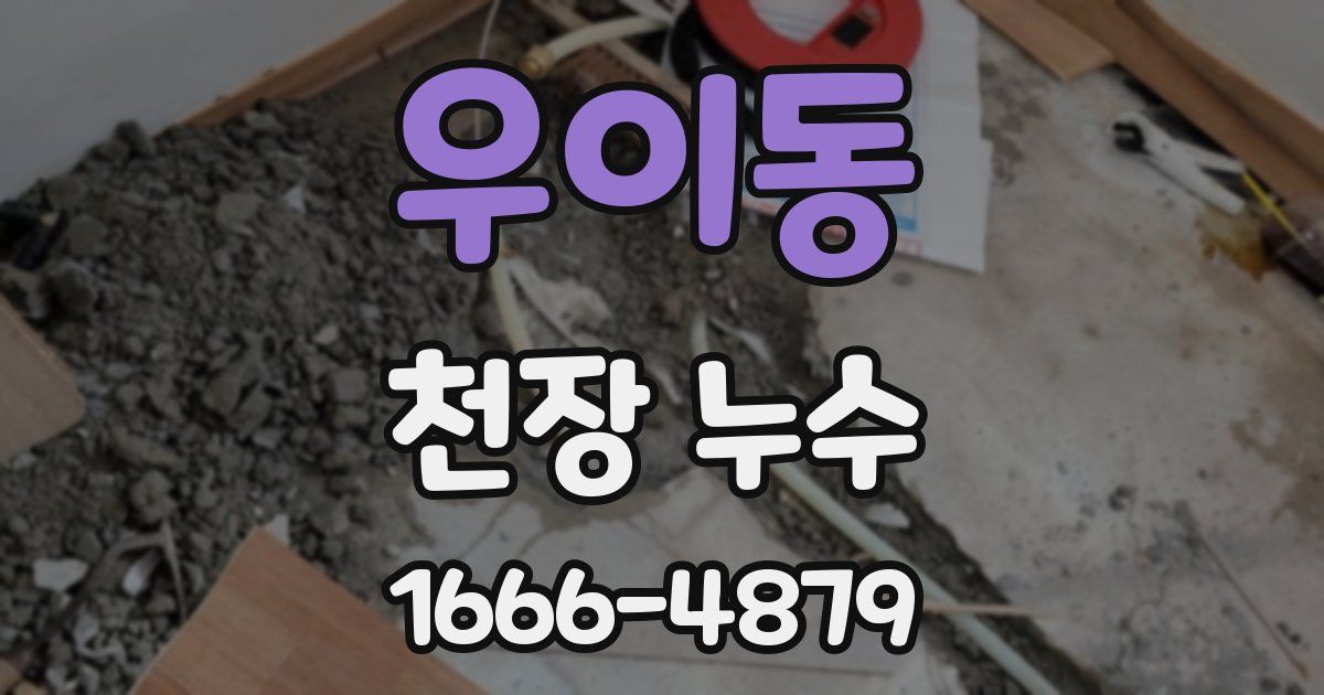 우이동 천장 누수