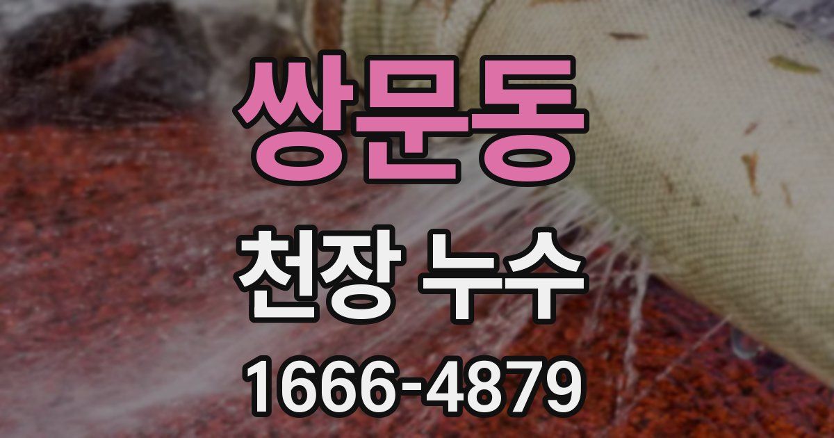 쌍문동 천장 누수