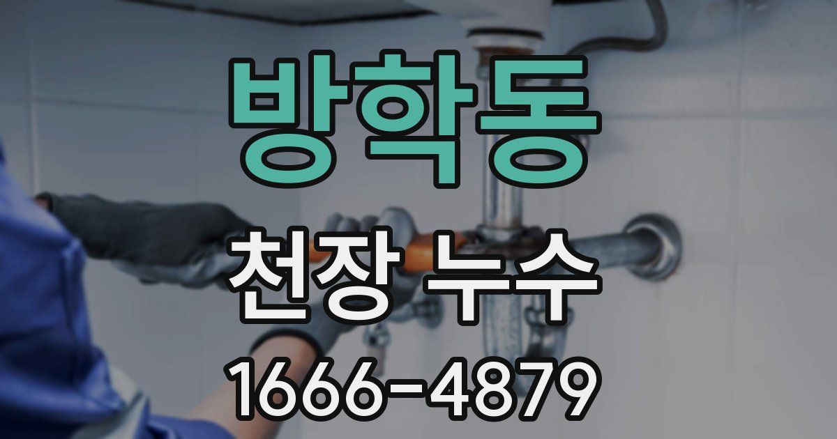 방학동 천장 누수