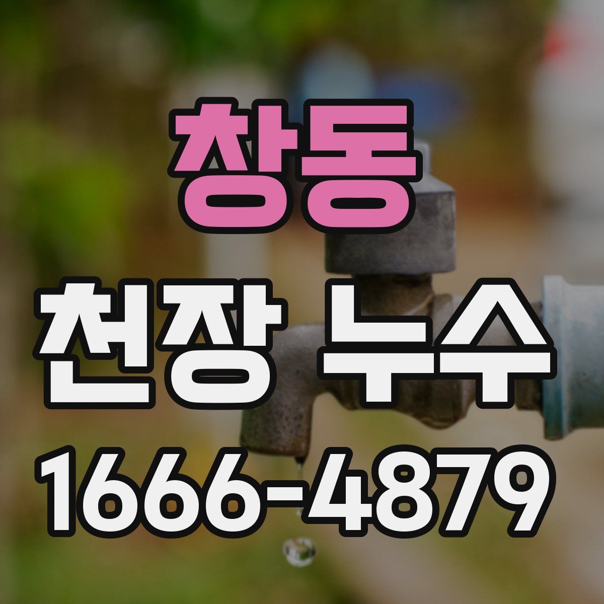 창동 천장 누수