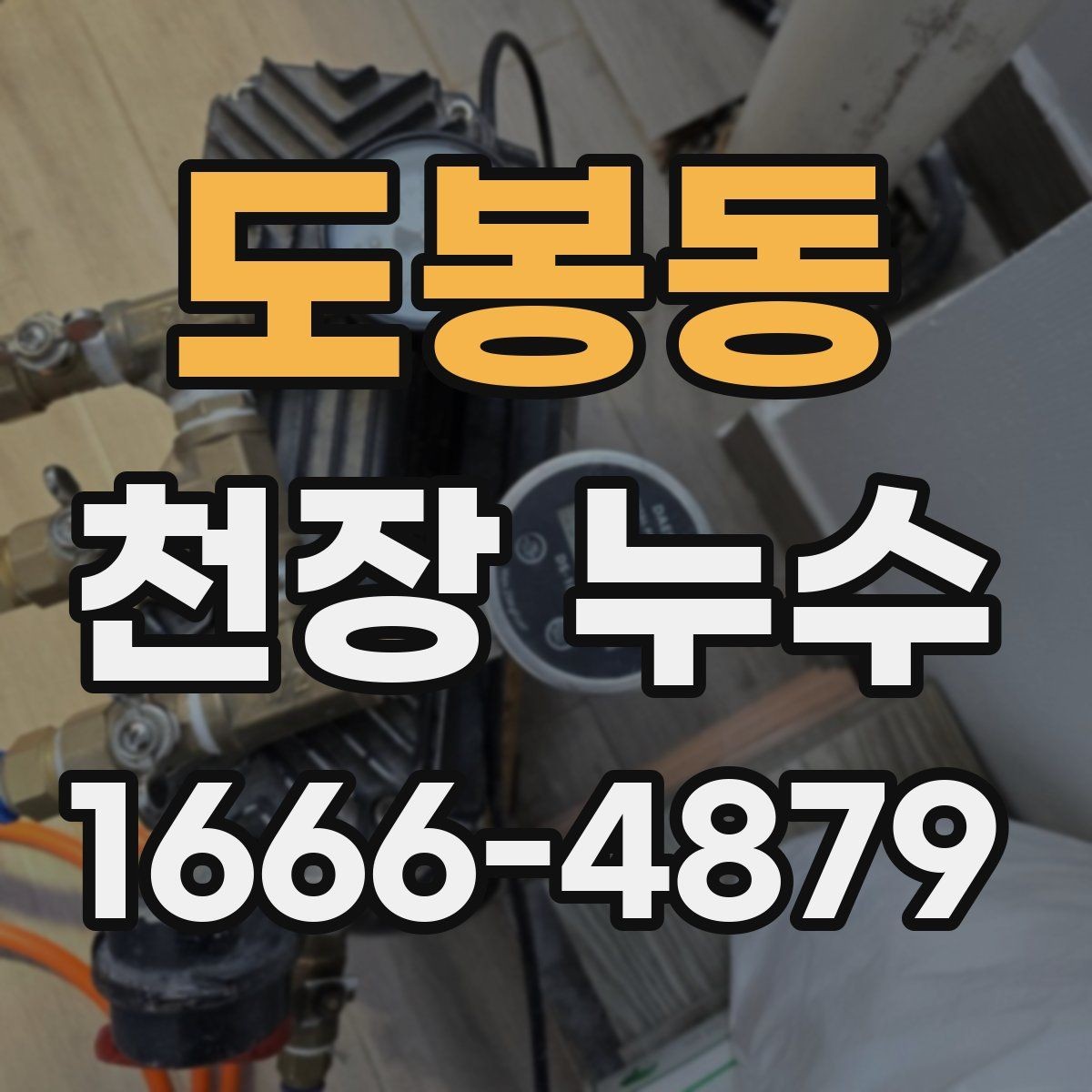도봉동 천장 누수 피해가 커지기 전 빠른 점검