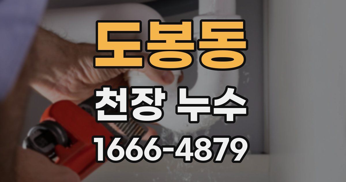 도봉동 천장 누수