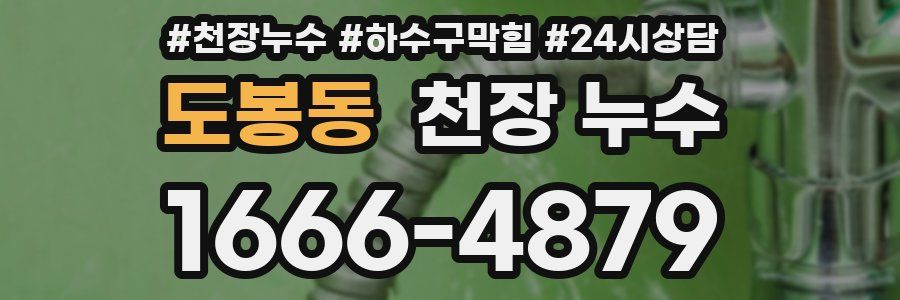 도봉동 천장 누수