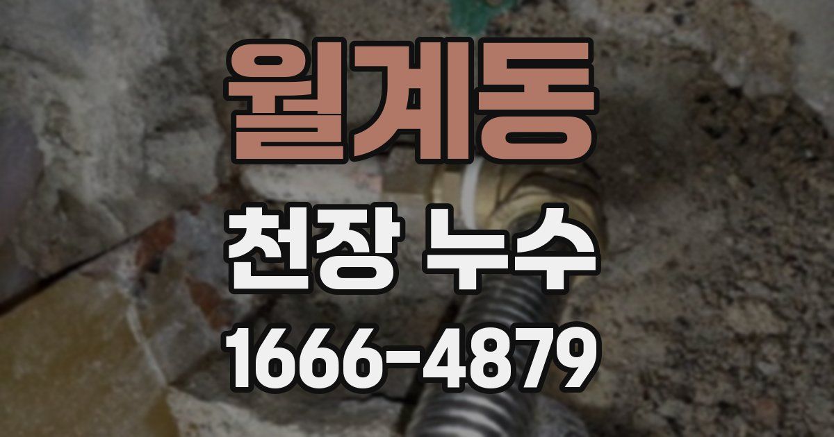 월계동 천장 누수