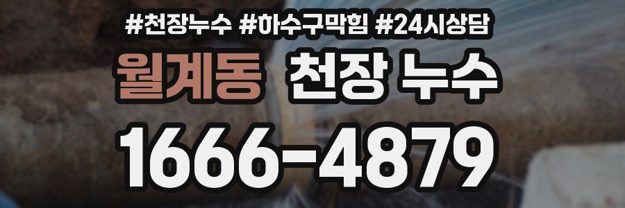 월계동 천장 누수