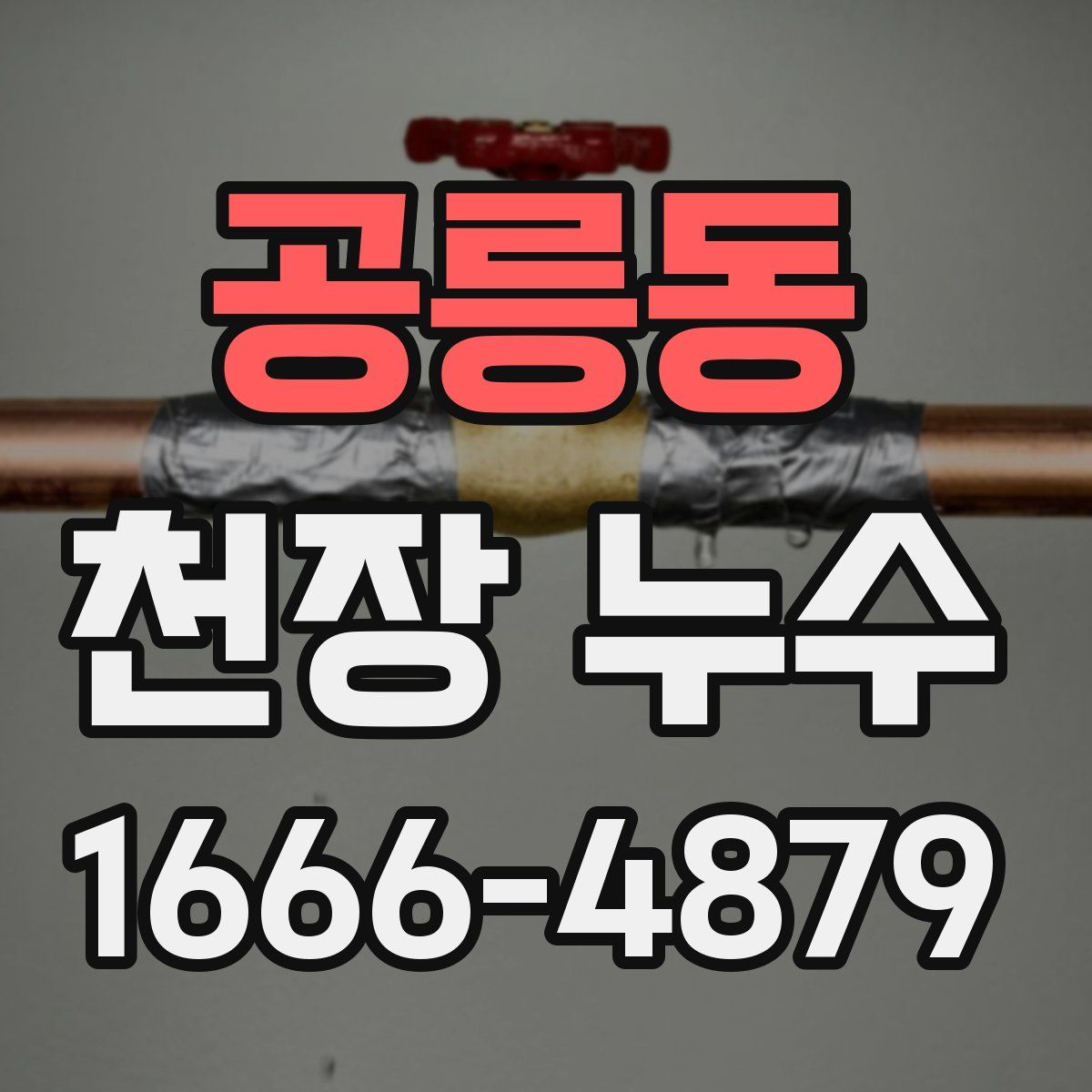 공릉동 천장 누수