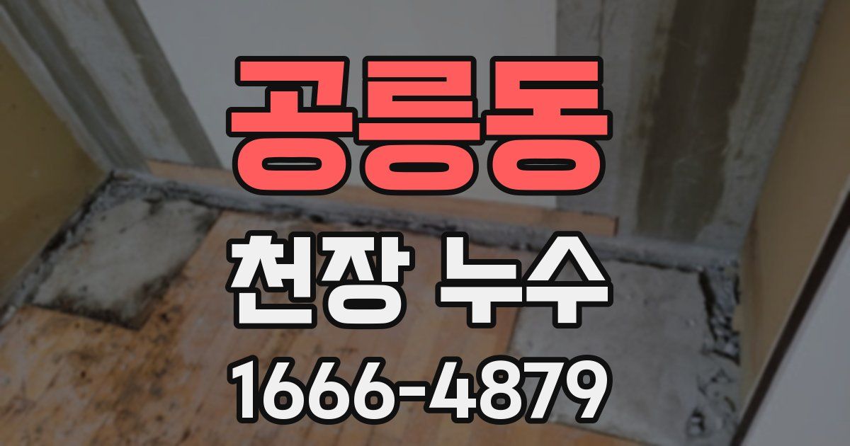 공릉동 천장 누수
