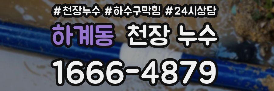 하계동 천장 누수