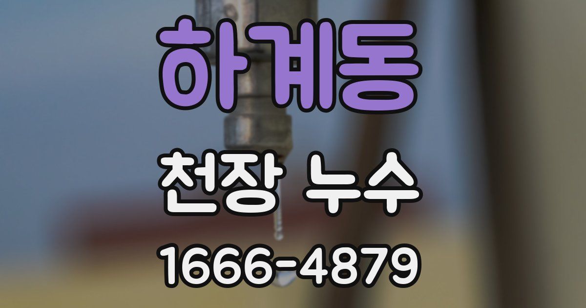 하계동 천장 누수