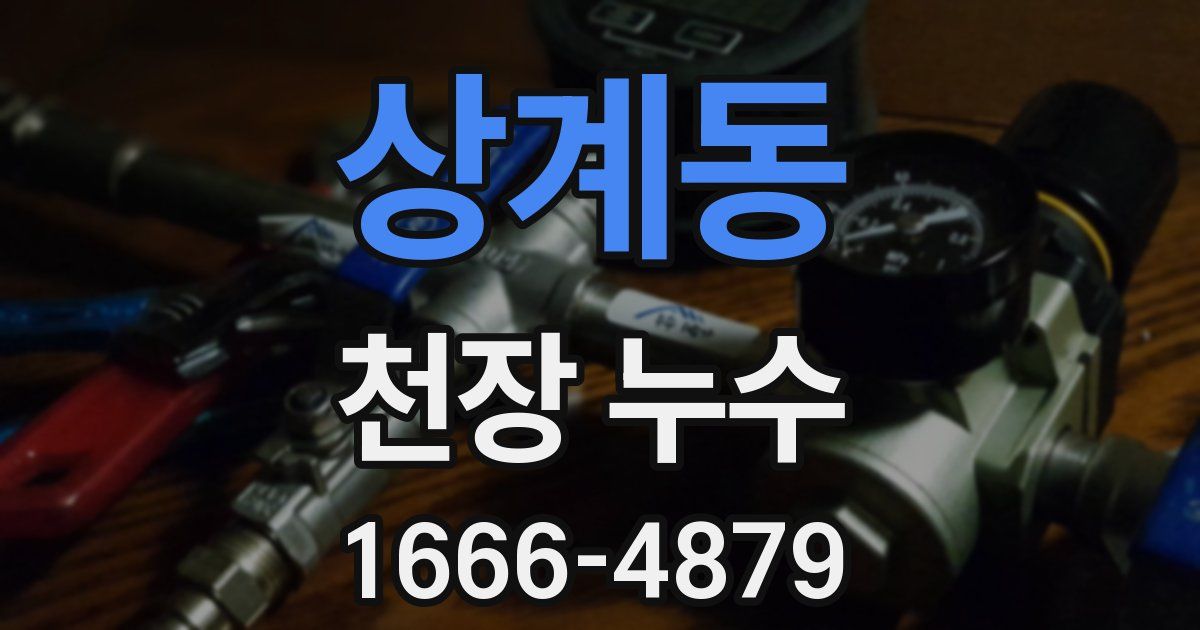 상계동 천장 누수