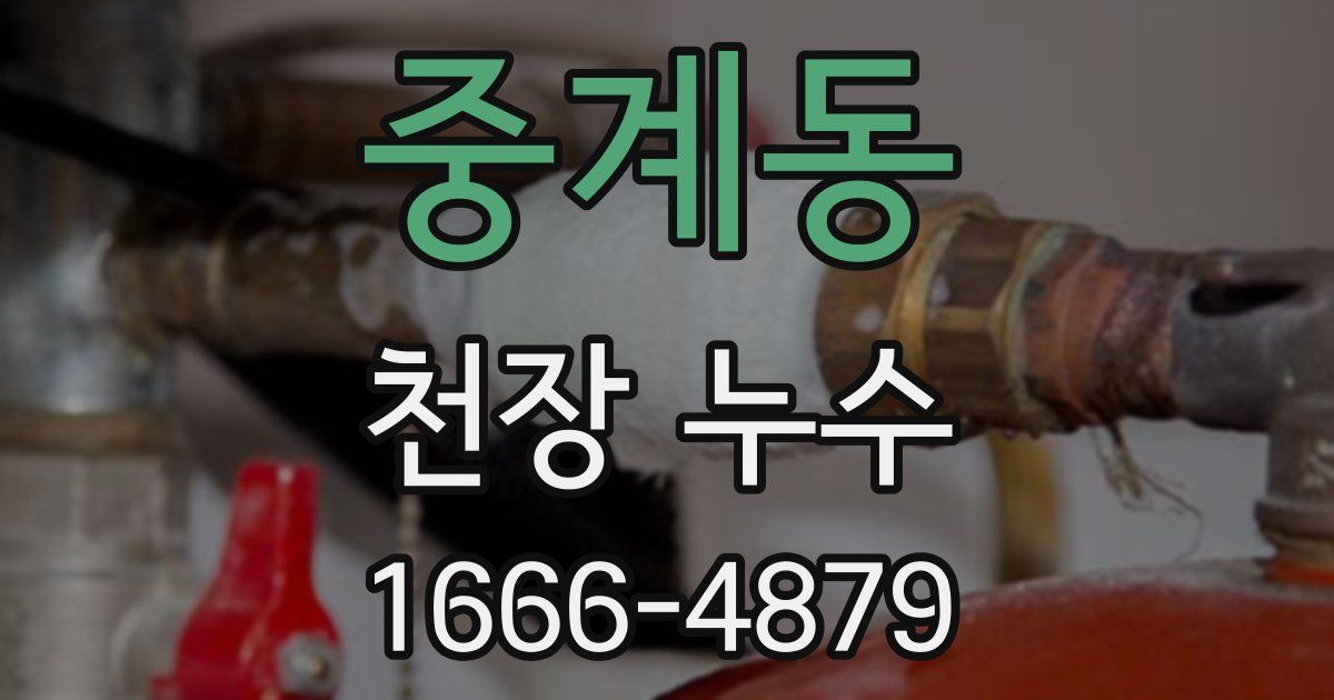 중계동 천장 누수