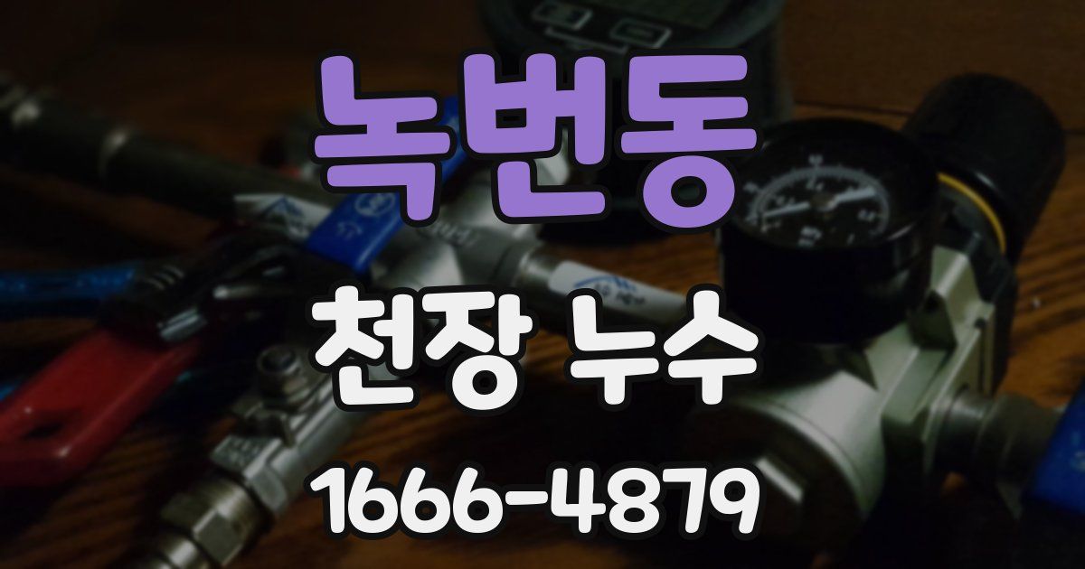 녹번동 천장 누수