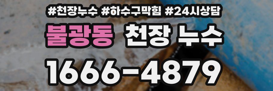 불광동 천장 누수