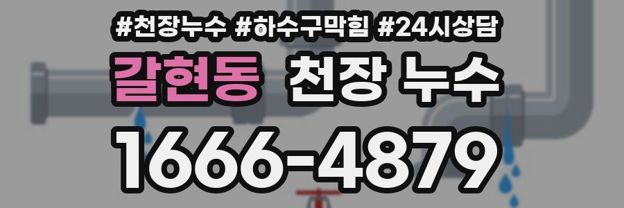 갈현동 천장 누수