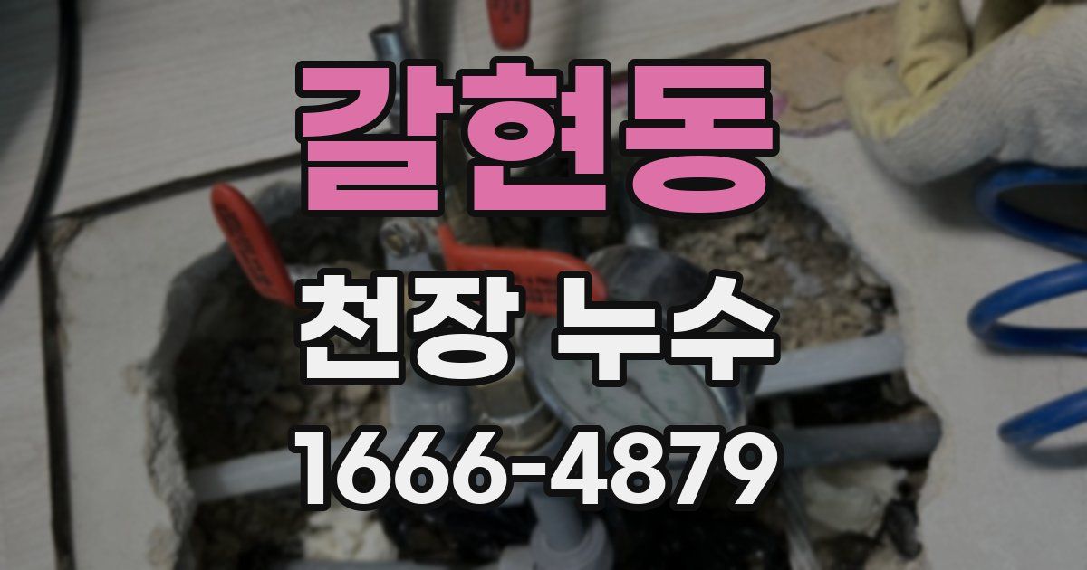 갈현동 천장 누수