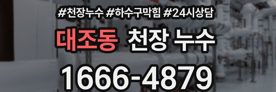 대조동 천장 누수