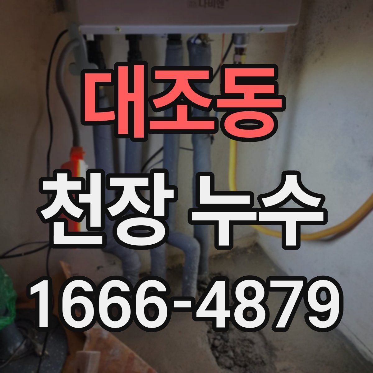 대조동 천장 누수