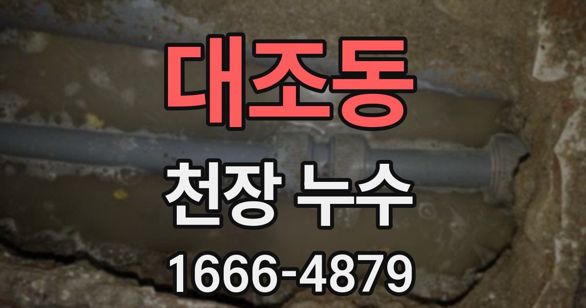 대조동 천장 누수
