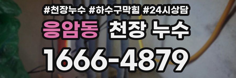 응암동 천장 누수