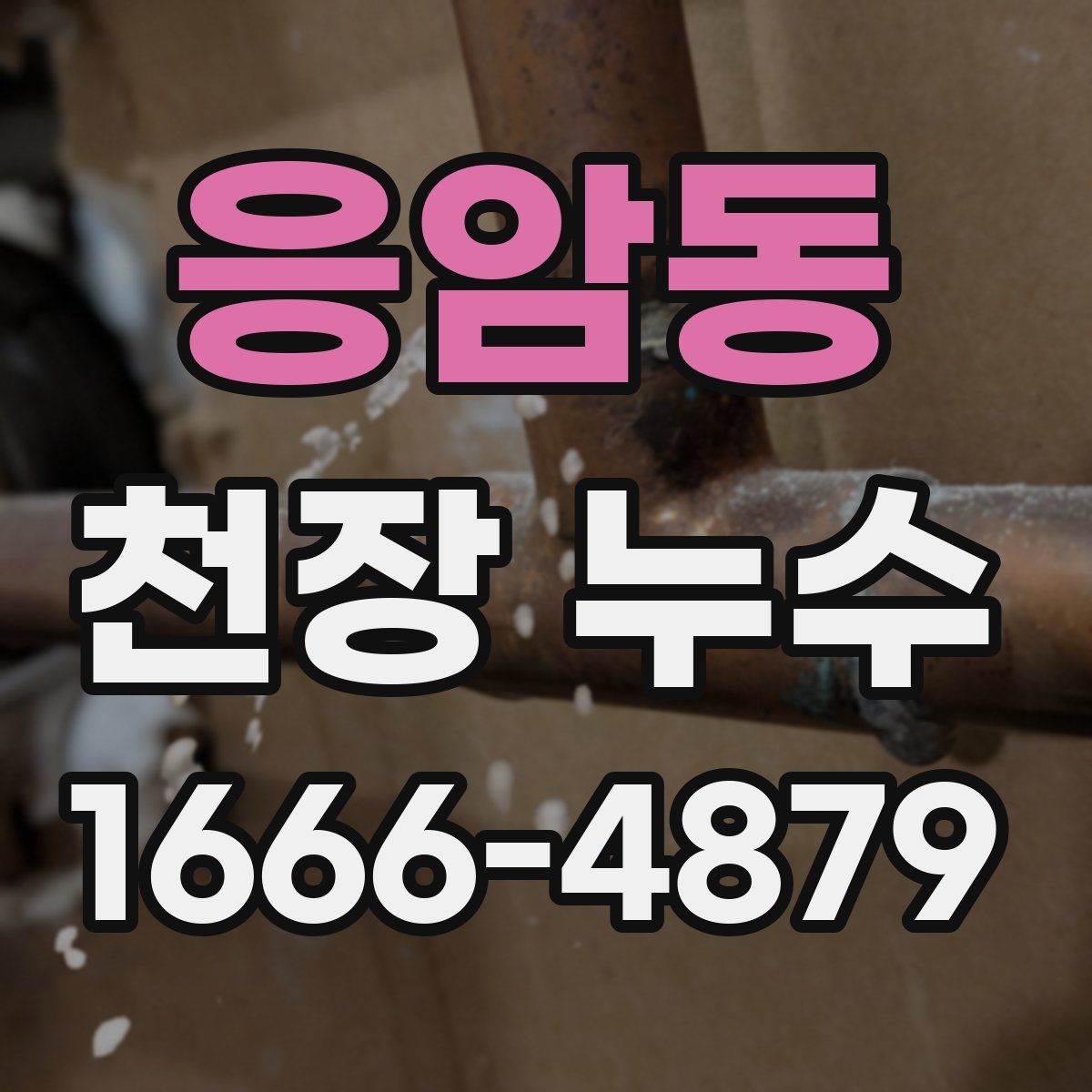 응암동 천장 누수