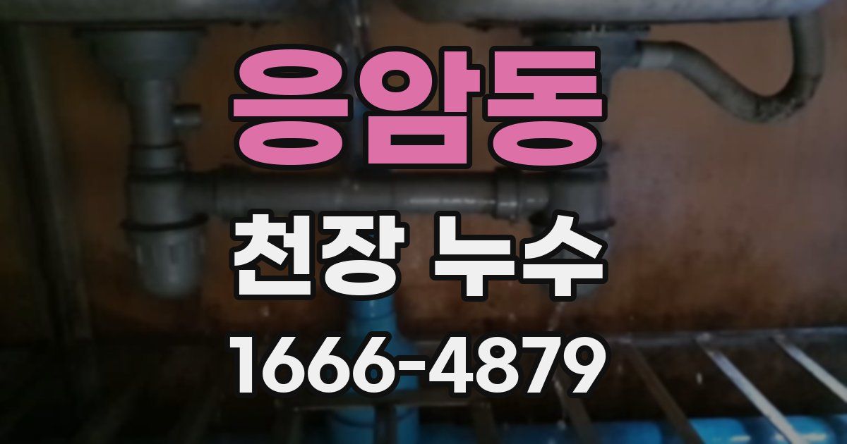 응암동 천장 누수