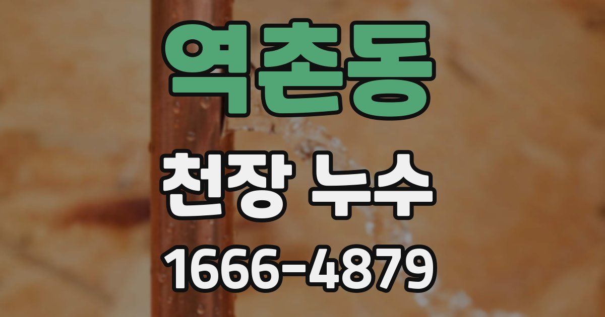 역촌동 천장 누수