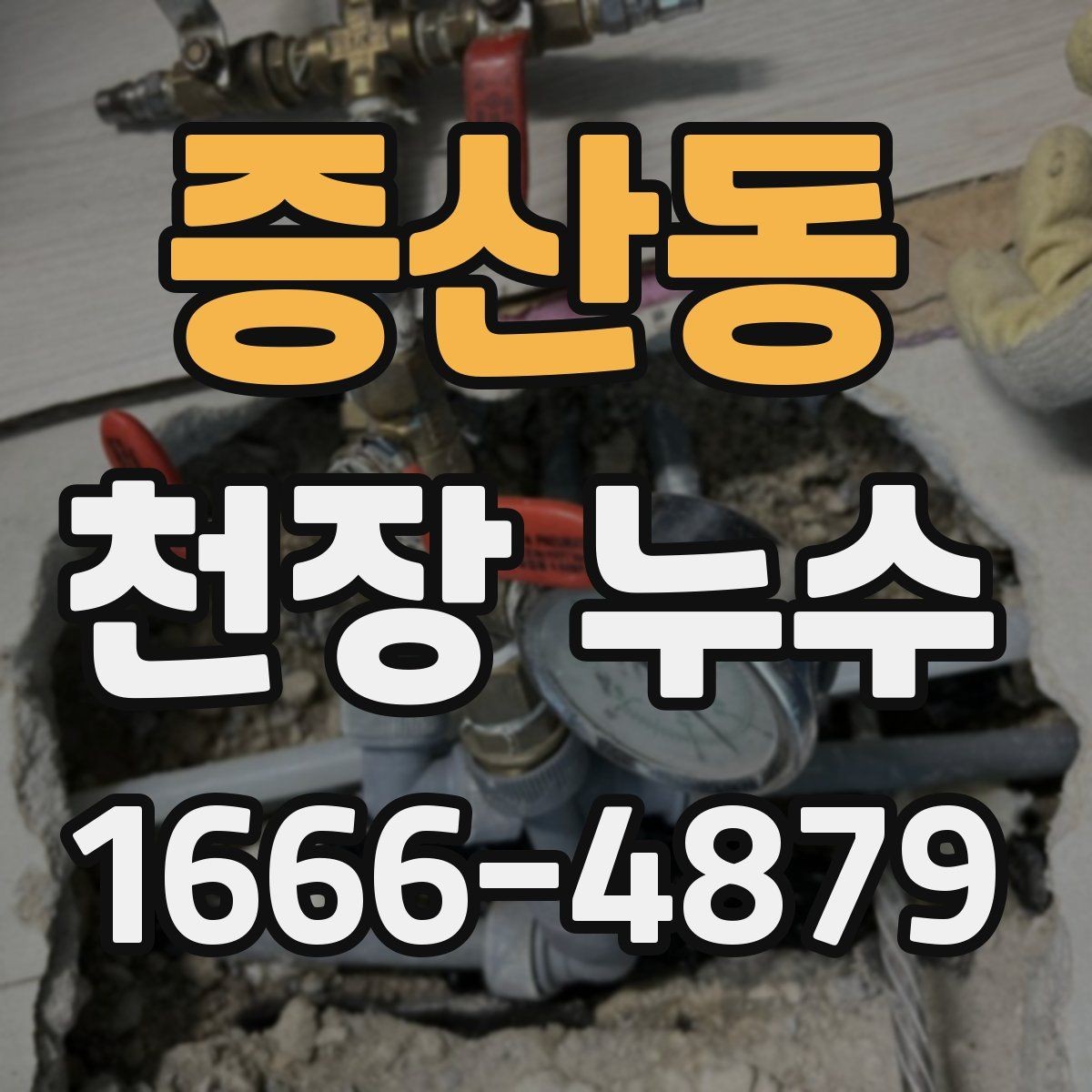증산동 천장 누수 천장 내부 습기로 곰팡이가 생길 때