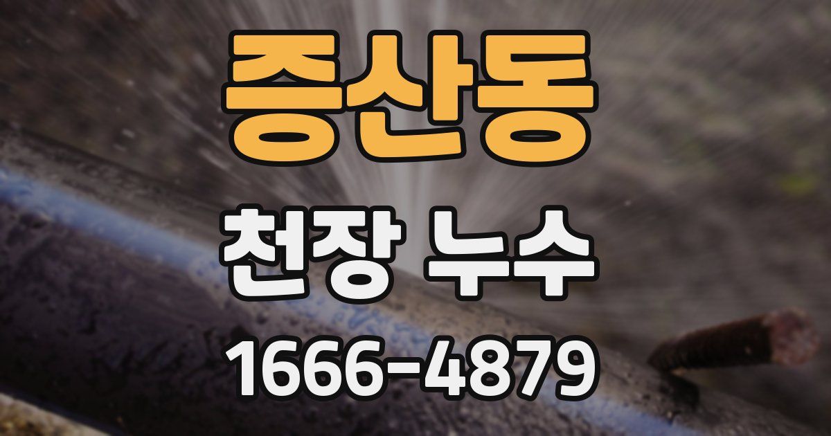 증산동 천장 누수