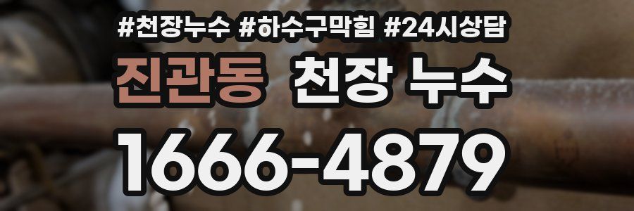 진관동 천장 누수