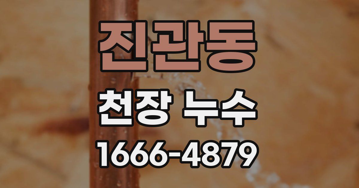 진관동 천장 누수