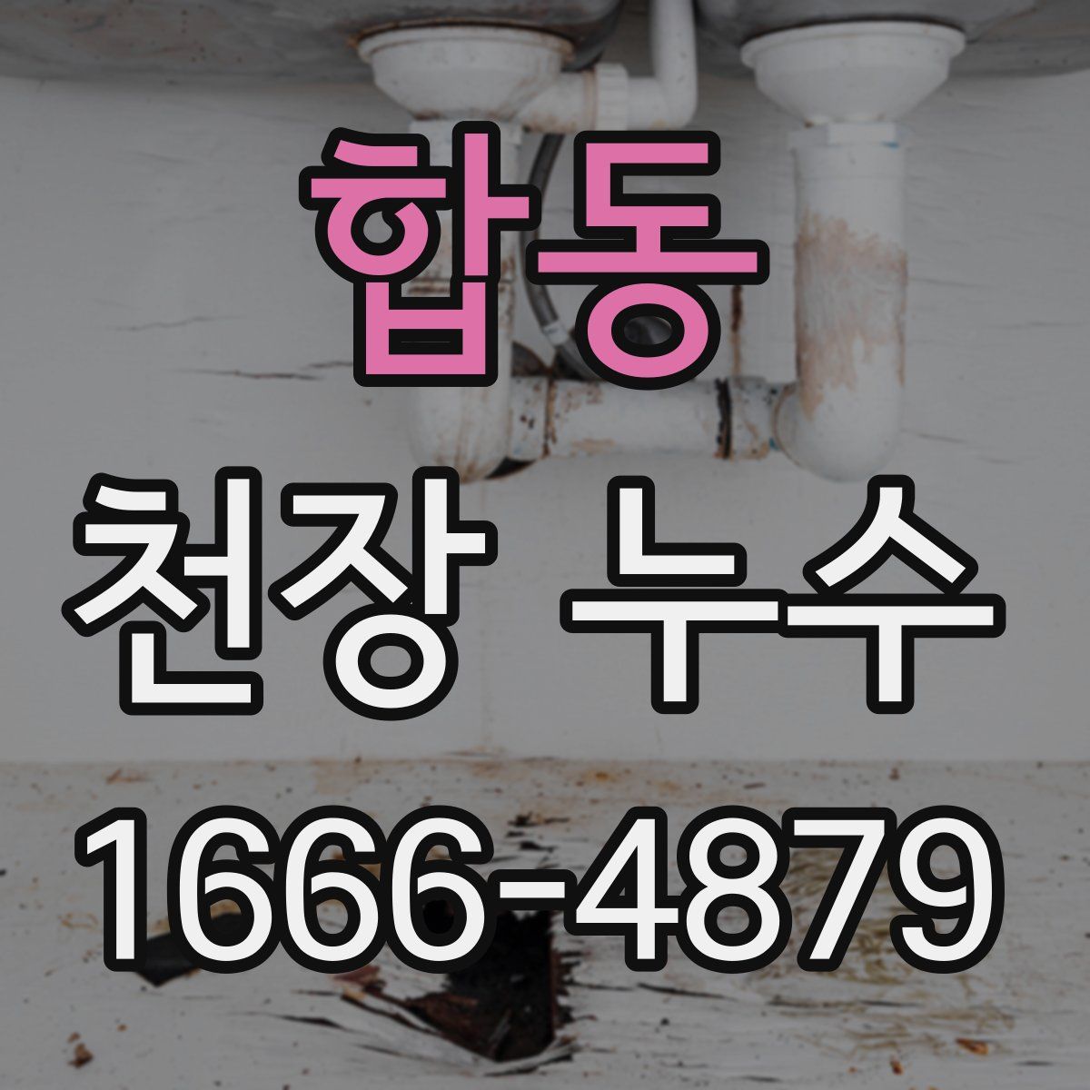 합동 천장 누수