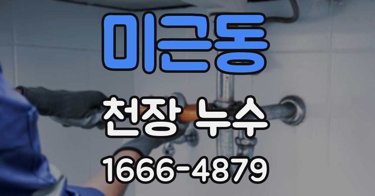 미근동 천장 누수