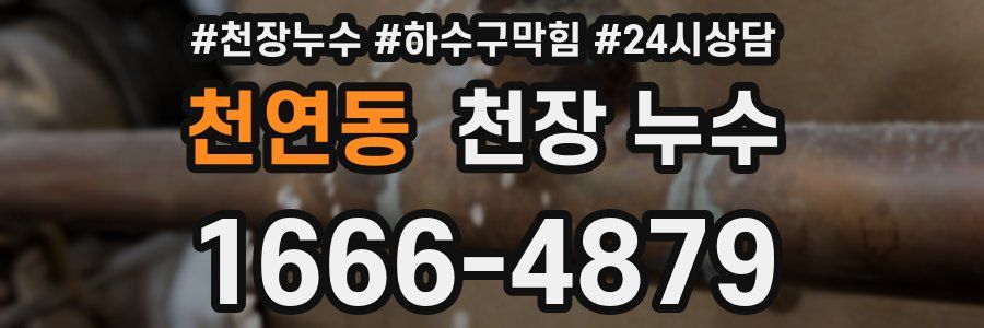 천연동 천장 누수