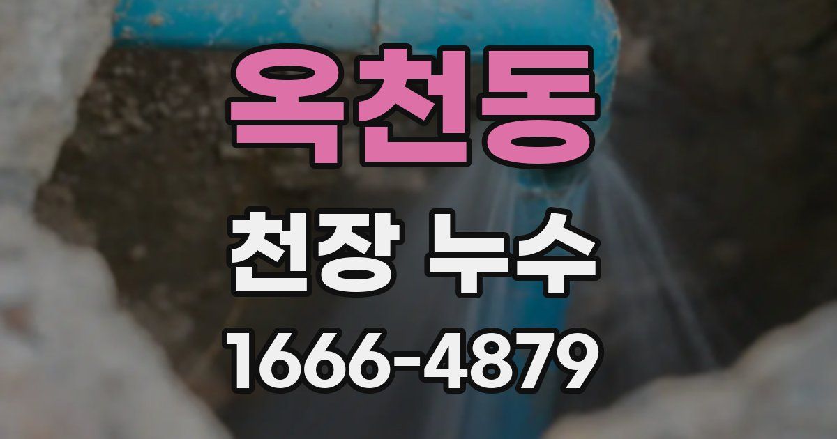 옥천동 천장 누수