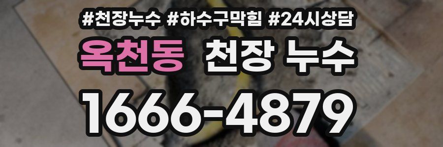 옥천동 천장 누수