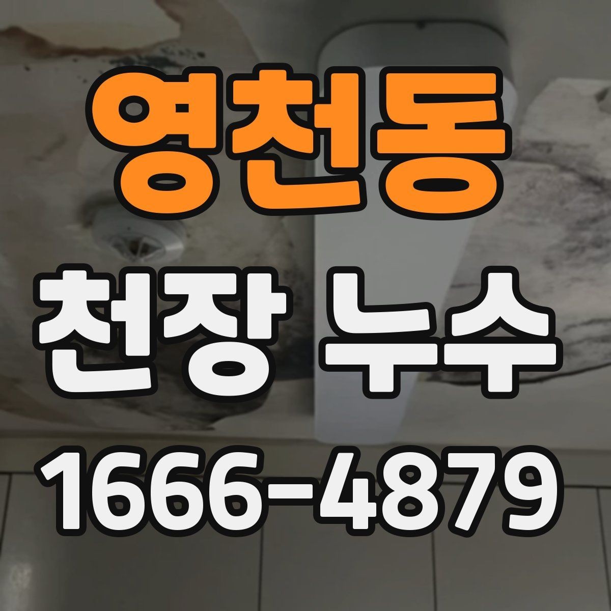 영천동 천장 누수 천장 근처에서 물비린내 같은 냄새가 날 때