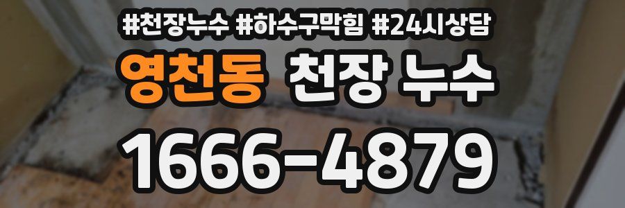 영천동 천장 누수