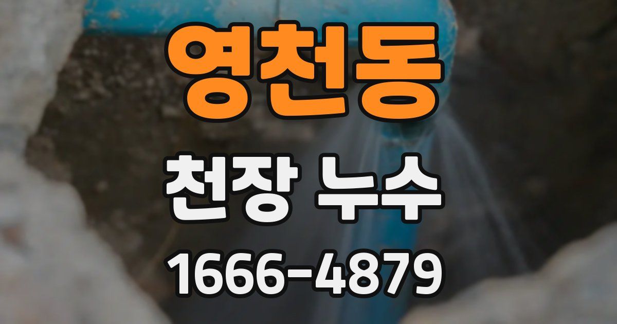 영천동 천장 누수