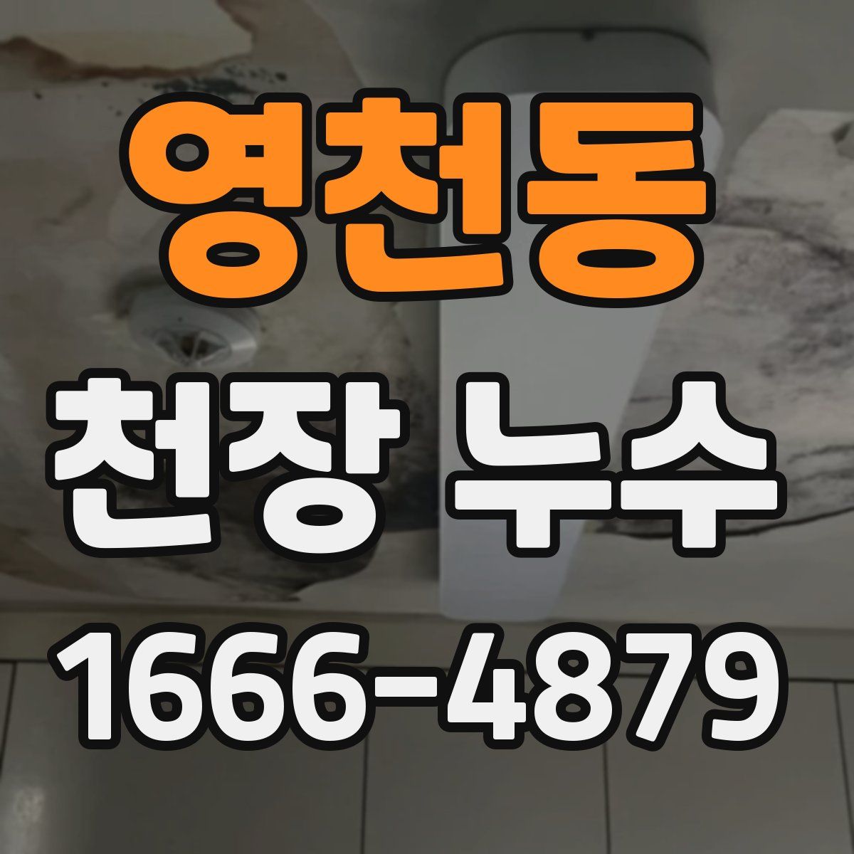 영천동 천장 누수