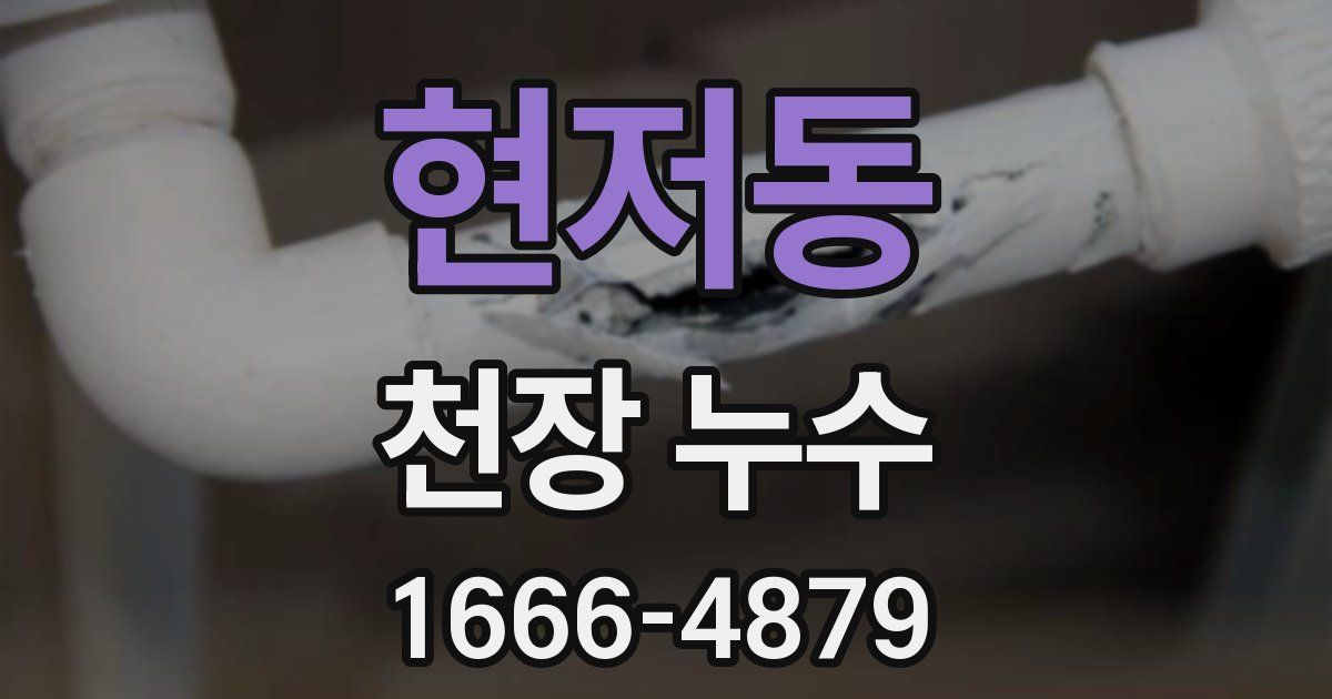 현저동 천장 누수