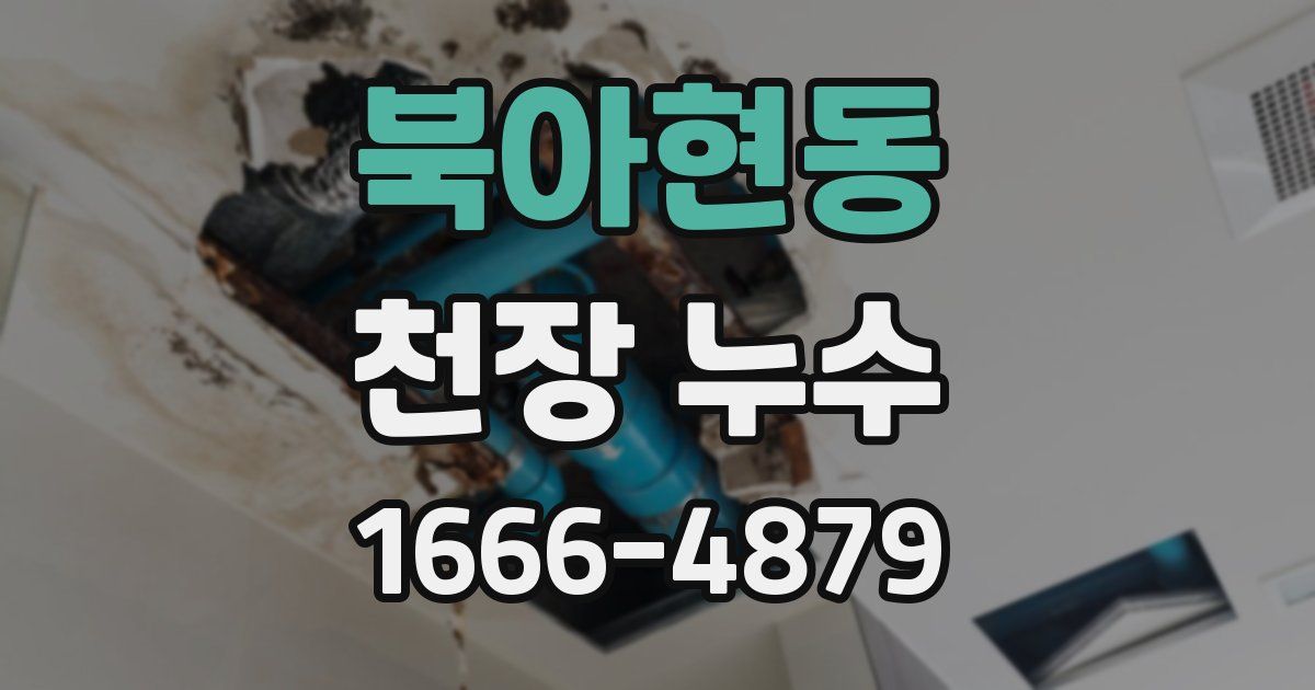 북아현동 천장 누수