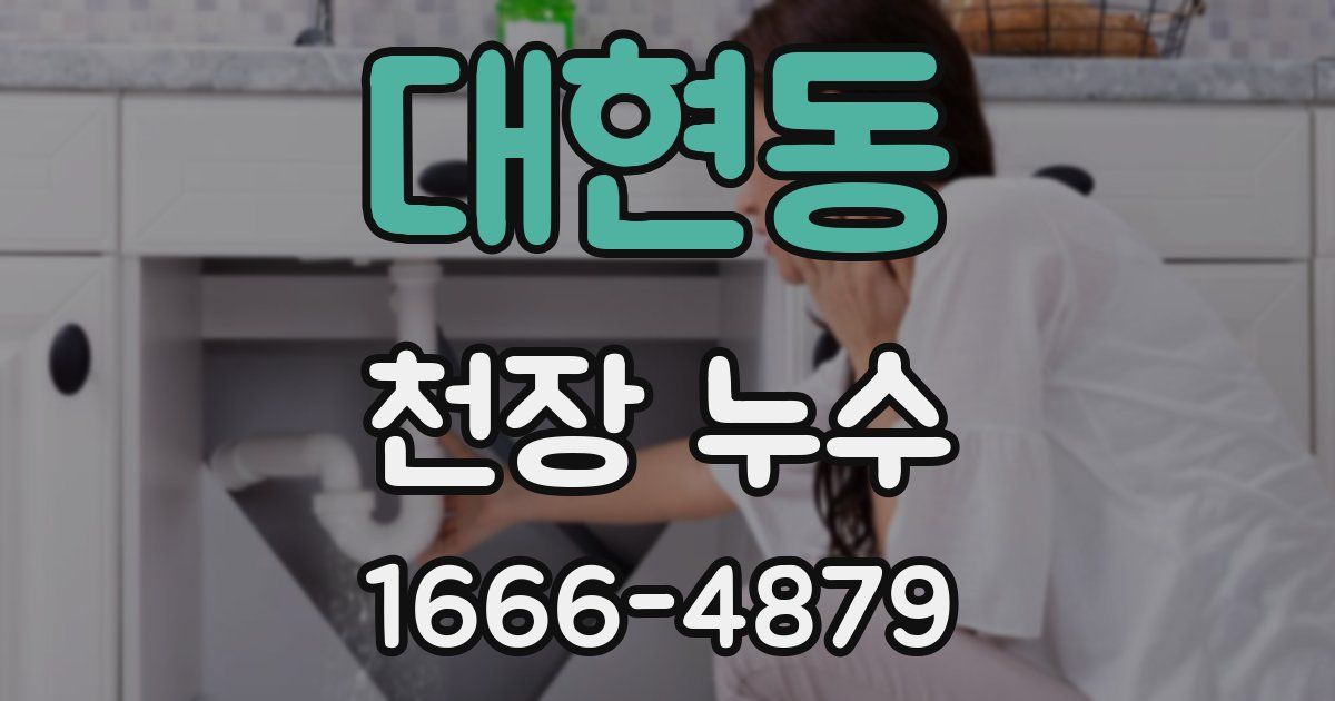 대현동 천장 누수