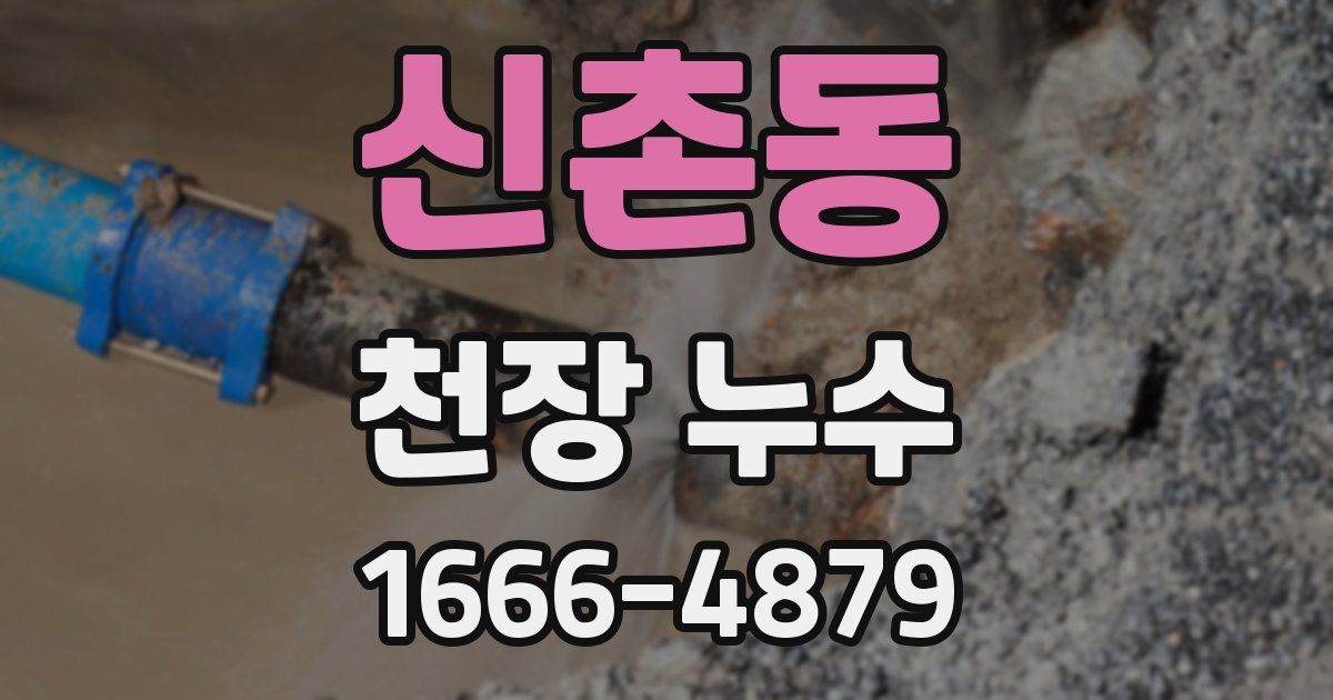 신촌동 천장 누수