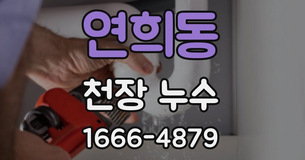 연희동 천장 누수