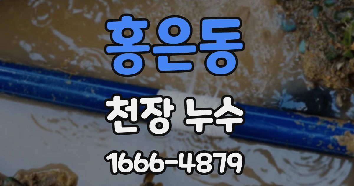 홍은동 천장 누수