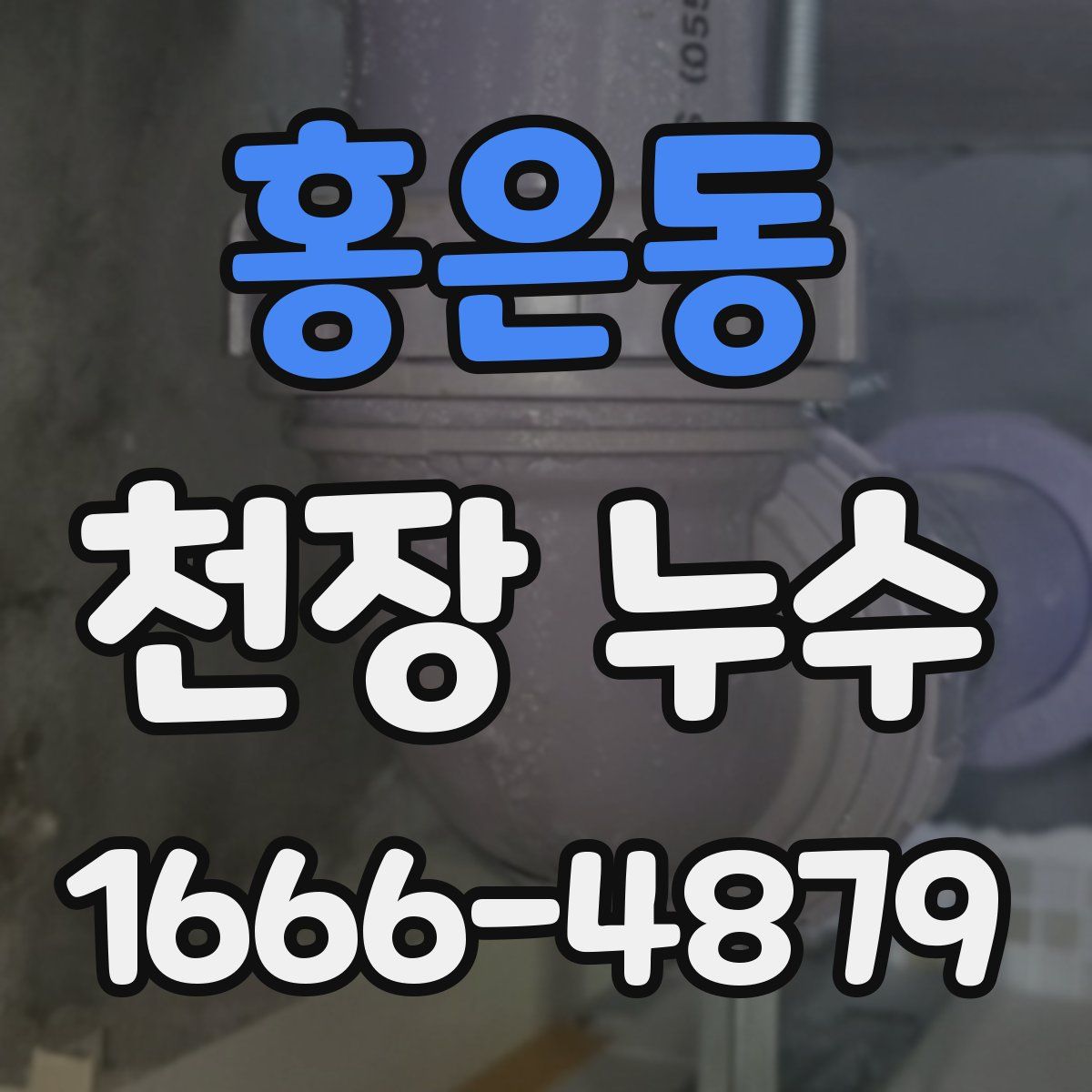 홍은동 천장 누수